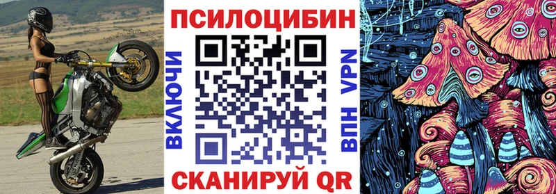 Псилоцибиновые грибы Magic Shrooms  Купить где  Тула 